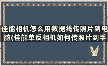 佳能相机怎么用数据线传照片到电脑(佳能单反相机如何传照片到手机上)