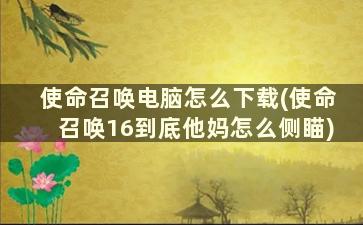 使命召唤电脑怎么下载(使命召唤16到底他妈怎么侧瞄)