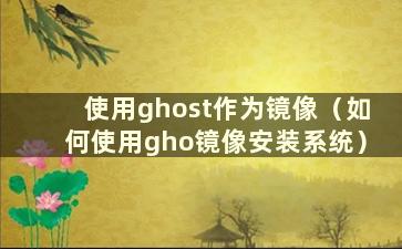 使用ghost作为镜像（如何使用gho镜像安装系统）