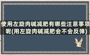 使用左旋肉碱减肥有哪些注意事项呢(用左旋肉碱减肥会不会反弹)