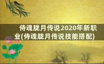 侍魂胧月传说2020年新职业(侍魂胧月传说技能搭配)