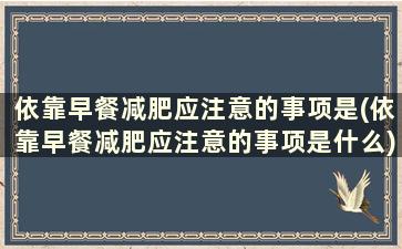 依靠早餐减肥应注意的事项是(依靠早餐减肥应注意的事项是什么)