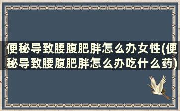 便秘导致腰腹肥胖怎么办女性(便秘导致腰腹肥胖怎么办吃什么药)