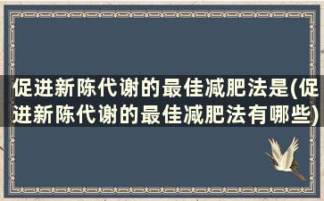 促进新陈代谢的最佳减肥法是(促进新陈代谢的最佳减肥法有哪些)