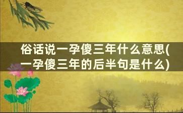 俗话说一孕傻三年什么意思(一孕傻三年的后半句是什么)