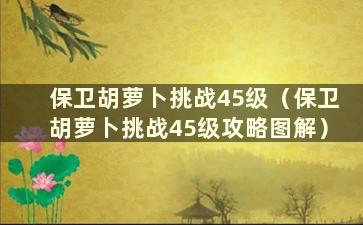 保卫胡萝卜挑战45级（保卫胡萝卜挑战45级攻略图解）