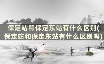 保定站和保定东站有什么区别(保定站和保定东站有什么区别吗)