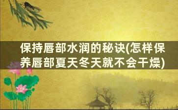 保持唇部水润的秘诀(怎样保养唇部夏天冬天就不会干燥)