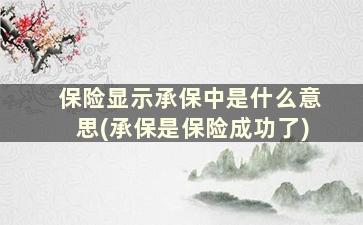 保险显示承保中是什么意思(承保是保险成功了)