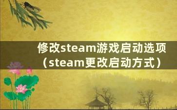 修改steam游戏启动选项（steam更改启动方式）