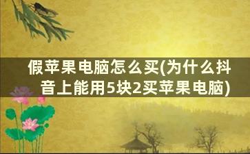 假苹果电脑怎么买(为什么抖音上能用5块2买苹果电脑)