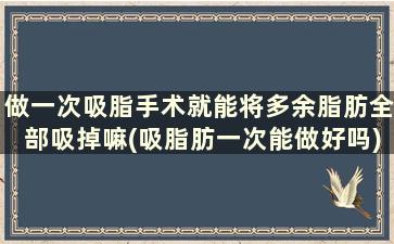 做一次吸脂手术就能将多余脂肪全部吸掉嘛(吸脂肪一次能做好吗)