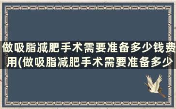 做吸脂减肥手术需要准备多少钱费用(做吸脂减肥手术需要准备多少钱一次)