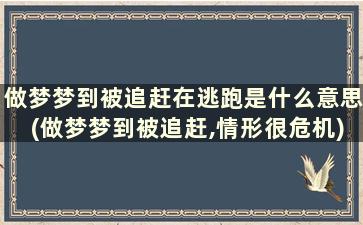 做梦梦到被追赶在逃跑是什么意思(做梦梦到被追赶,情形很危机)