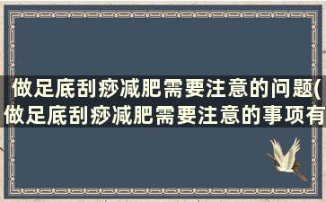 做足底刮痧减肥需要注意的问题(做足底刮痧减肥需要注意的事项有)