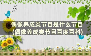 偶像养成类节目是什么节目(偶像养成类节目百度百科)