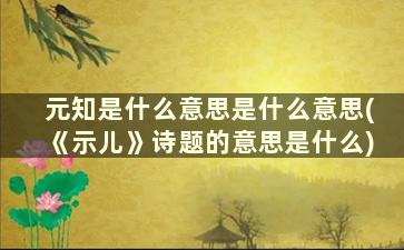 元知是什么意思是什么意思(《示儿》诗题的意思是什么)