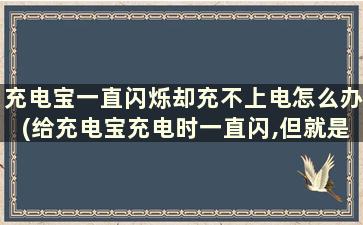 充电宝一直闪烁却充不上电怎么办(给充电宝充电时一直闪,但就是充不进去的原因)