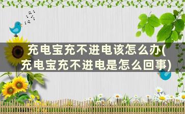 充电宝充不进电该怎么办(充电宝充不进电是怎么回事)