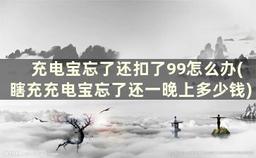 充电宝忘了还扣了99怎么办(瞎充充电宝忘了还一晚上多少钱)