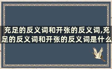 充足的反义词和开张的反义词,充足的反义词和开张的反义词是什么