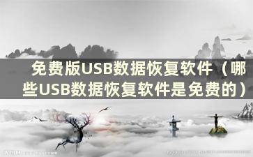 免费版USB数据恢复软件（哪些USB数据恢复软件是免费的）