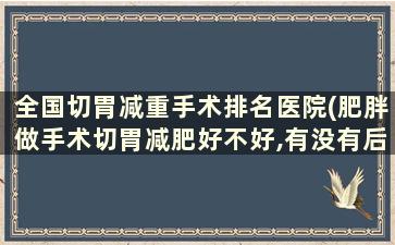 全国切胃减重手术排名医院(肥胖做手术切胃减肥好不好,有没有后遗症)