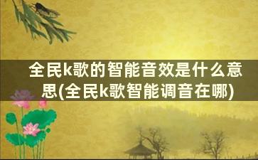 全民k歌的智能音效是什么意思(全民k歌智能调音在哪)