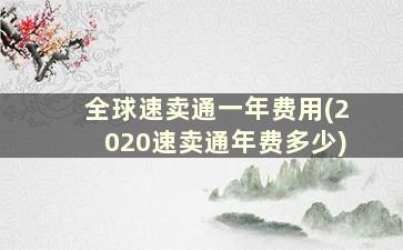 全球速卖通一年费用(2020速卖通年费多少)