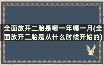 全面放开二胎是哪一年哪一月(全面放开二胎是从什么时候开始的)