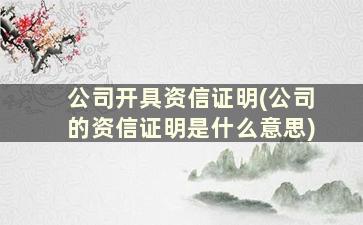 公司开具资信证明(公司的资信证明是什么意思)