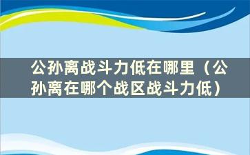 公孙离战斗力低在哪里（公孙离在哪个战区战斗力低）