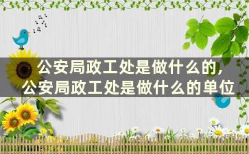 公安局政工处是做什么的,公安局政工处是做什么的单位