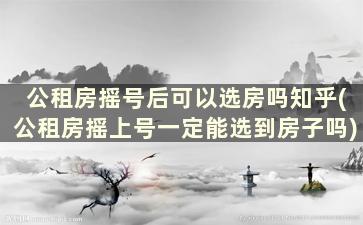 公租房摇号后可以选房吗知乎(公租房摇上号一定能选到房子吗)