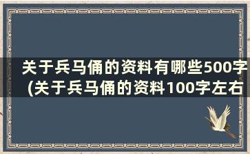 关于兵马俑的资料有哪些500字(关于兵马俑的资料100字左右)