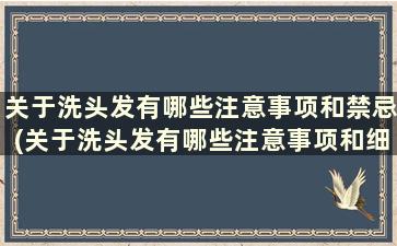 关于洗头发有哪些注意事项和禁忌(关于洗头发有哪些注意事项和细节)