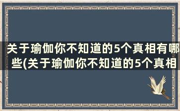 关于瑜伽你不知道的5个真相有哪些(关于瑜伽你不知道的5个真相作文)