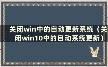 关闭win中的自动更新系统（关闭win10中的自动系统更新）