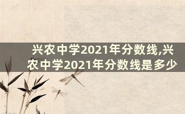 兴农中学2021年分数线,兴农中学2021年分数线是多少