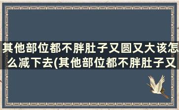 其他部位都不胖肚子又圆又大该怎么减下去(其他部位都不胖肚子又圆又大该怎么减掉)