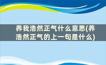 养我浩然正气什么意思(养浩然正气的上一句是什么)