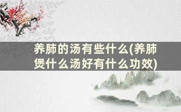 养肺的汤有些什么(养肺煲什么汤好有什么功效)