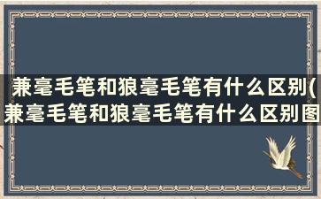 兼毫毛笔和狼毫毛笔有什么区别(兼毫毛笔和狼毫毛笔有什么区别图片)