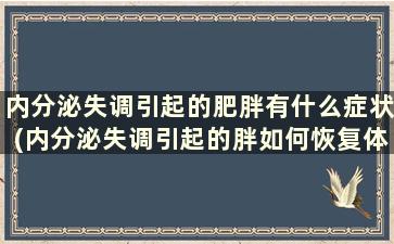 内分泌失调引起的肥胖有什么症状(内分泌失调引起的胖如何恢复体重)