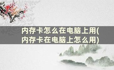 内存卡怎么在电脑上用(内存卡在电脑上怎么用)