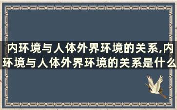 内环境与人体外界环境的关系,内环境与人体外界环境的关系是什么