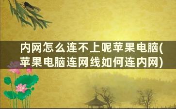 内网怎么连不上呢苹果电脑(苹果电脑连网线如何连内网)