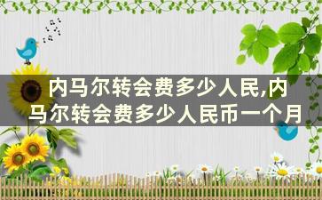 内马尔转会费多少人民,内马尔转会费多少人民币一个月