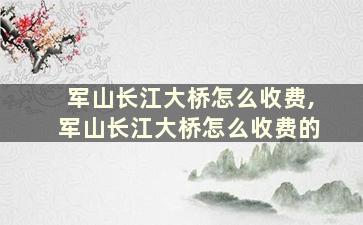 军山长江大桥怎么收费,军山长江大桥怎么收费的