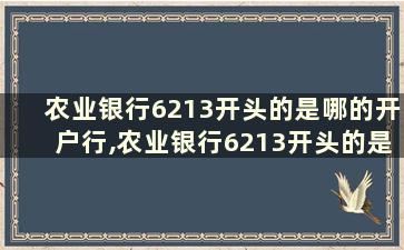 农业银行6213开头的是哪的开户行,农业银行6213开头的是哪的开户行呢